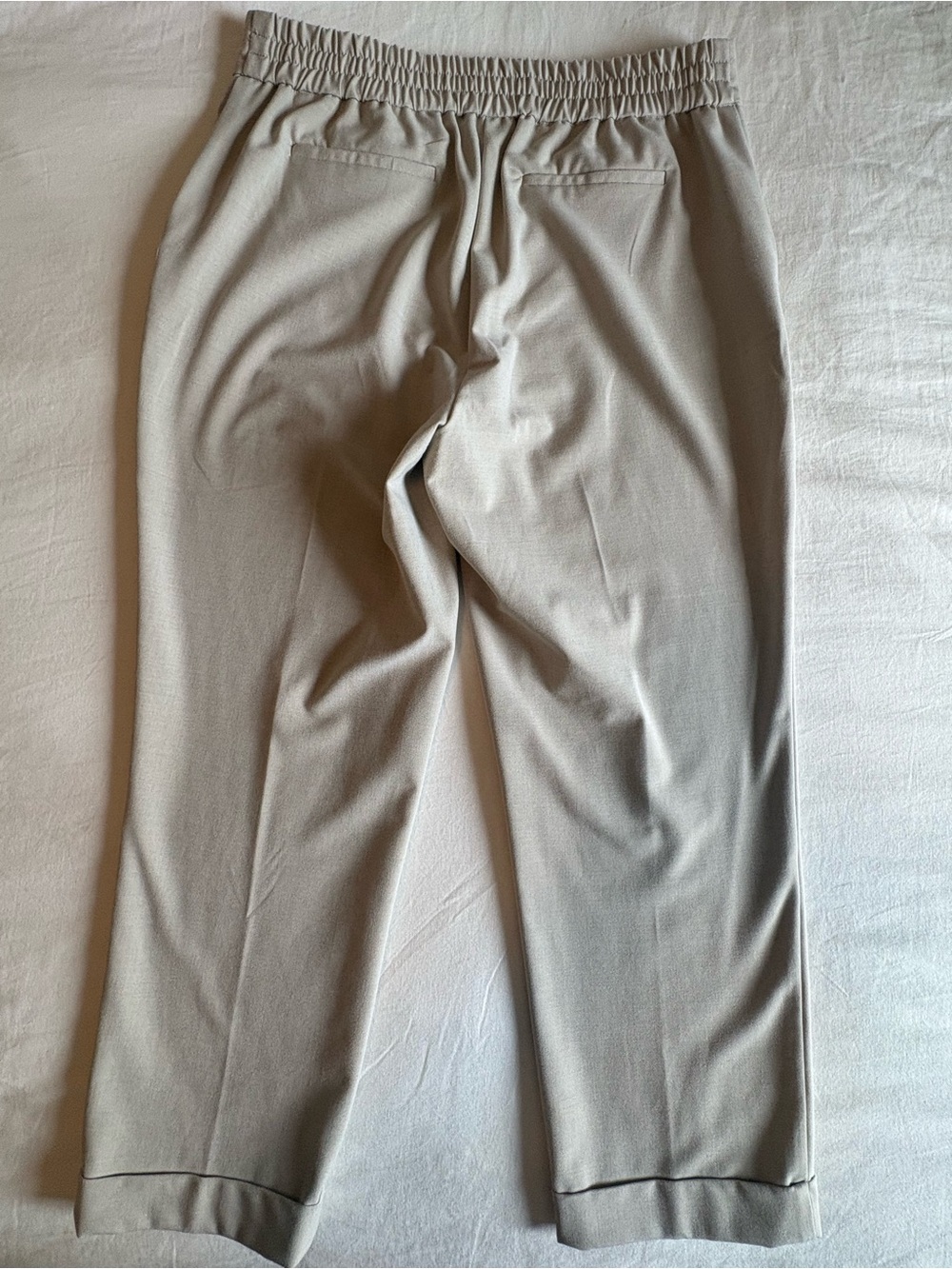 Rachel Zoe Beige Elastic-Waist Dress Pants - Picture 6 of 10
